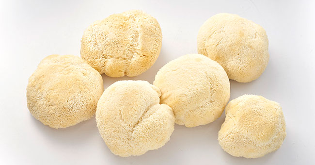 BRAND’S® ingredients yamabushitake detail page