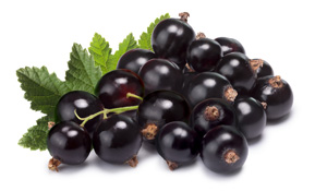 BRAND’S® ingredients blackcurrant anthocyanins