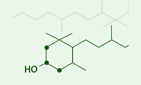 BRAND’S® ingredients lutein