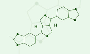 BRAND’S® ingredients sesamin