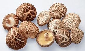 BRAND’S® ingredients shiitake