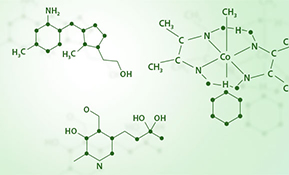 BRAND’S® ingredients vitamin b complex