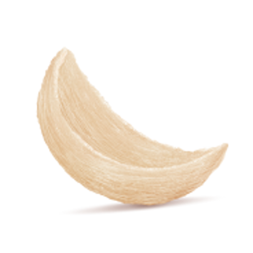 Bird's Nest